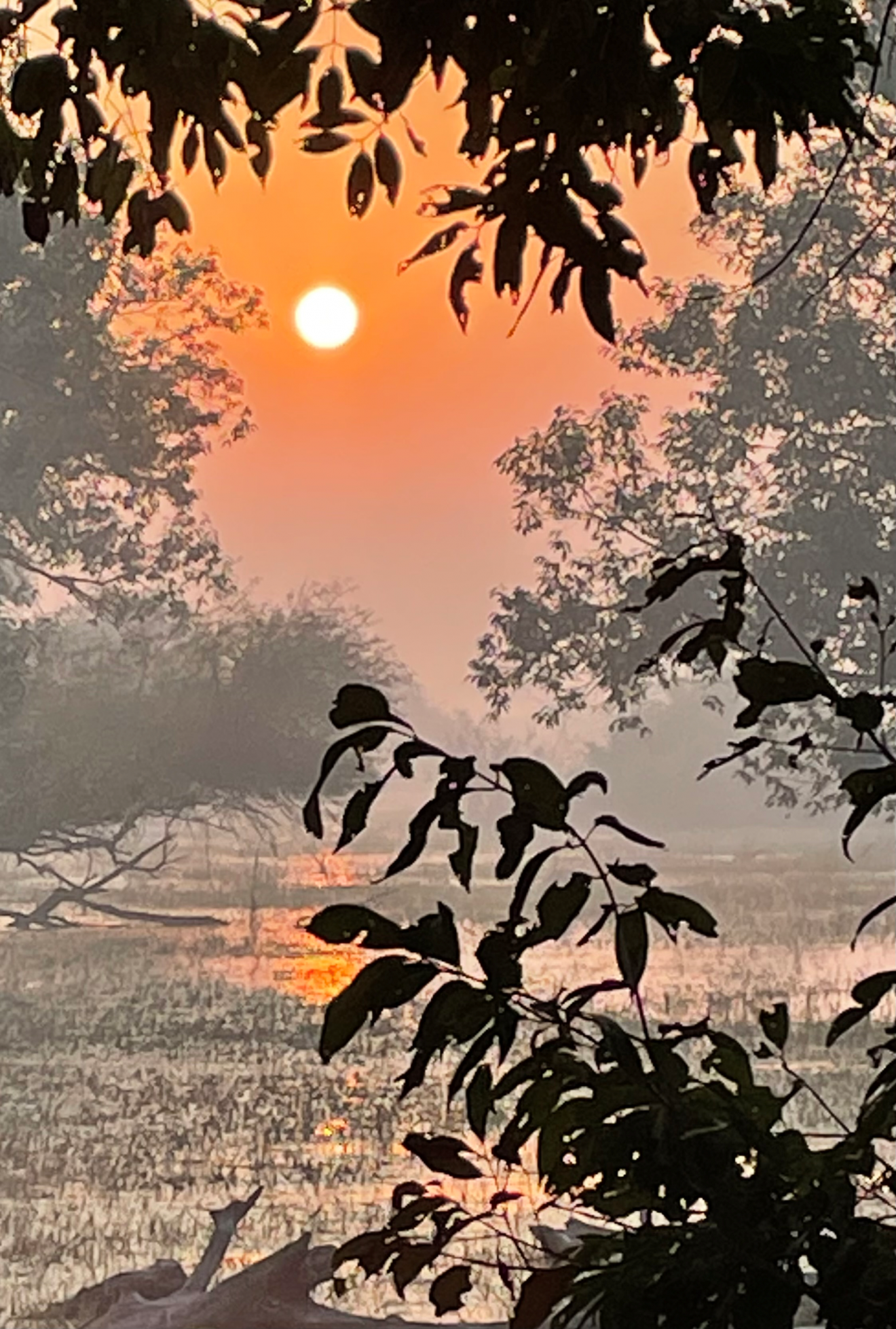 India sunrise photo ©Andrew Rowdon
