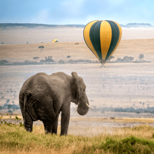 Zululand Safari And Mozambique In Style